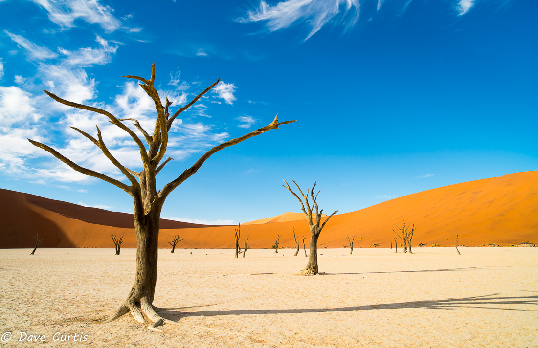 Deadvlei - Namibia