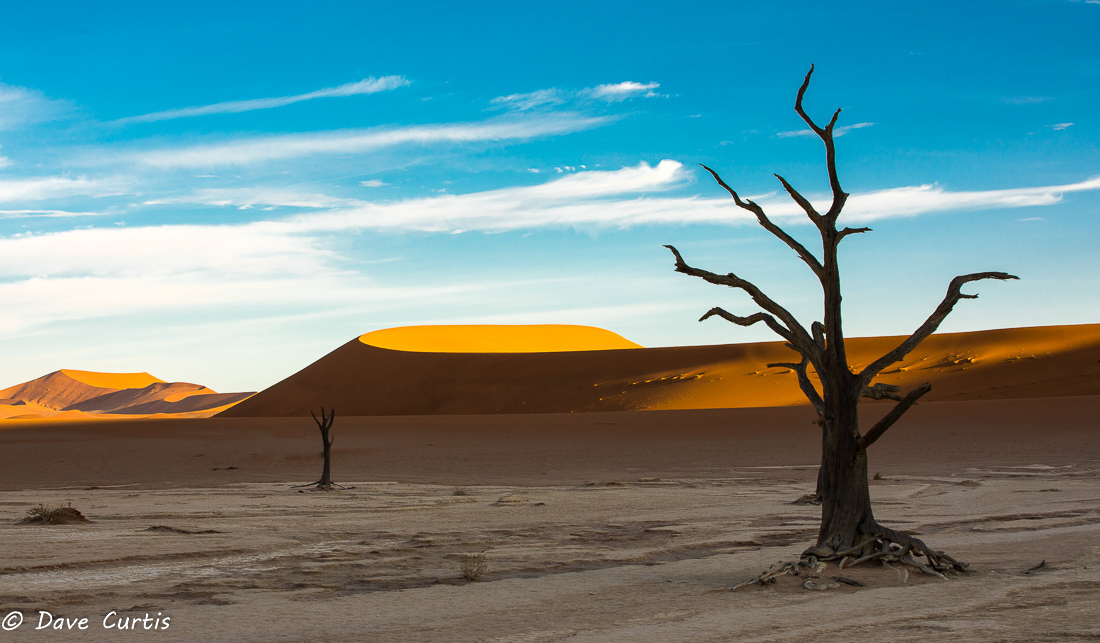 Deadvlei - Namibia