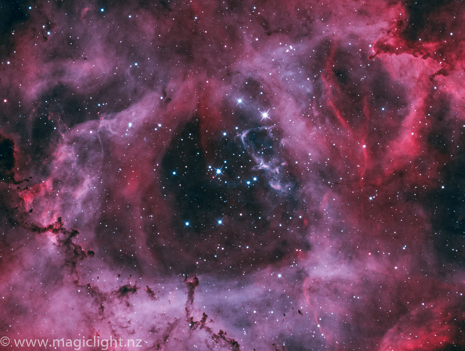 Rosette Nebula & Open cluster NGC 2244 