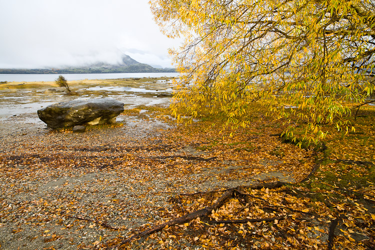 Leaf Fall, Wanaka 2011