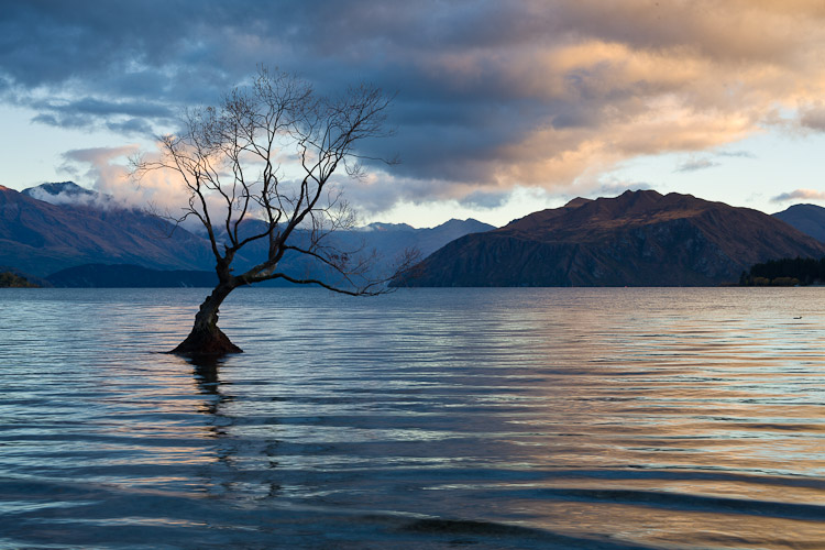 Morning Lake, Wanaka 2011