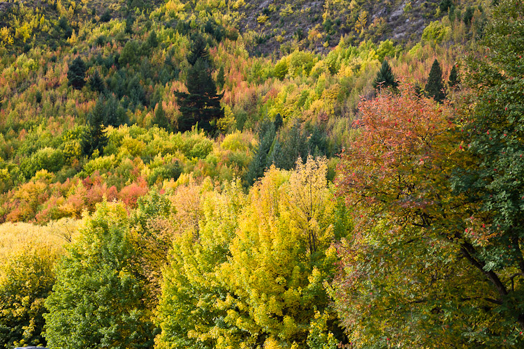 Arrowtown Autumn 3, Arrowtown 2010