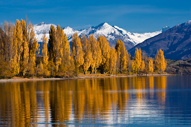 Autumn at Lake Wanaka, Wanaka 2006