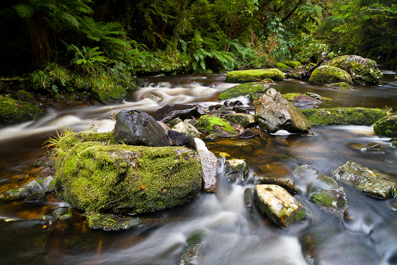 Mossy Stream, Catins 2011