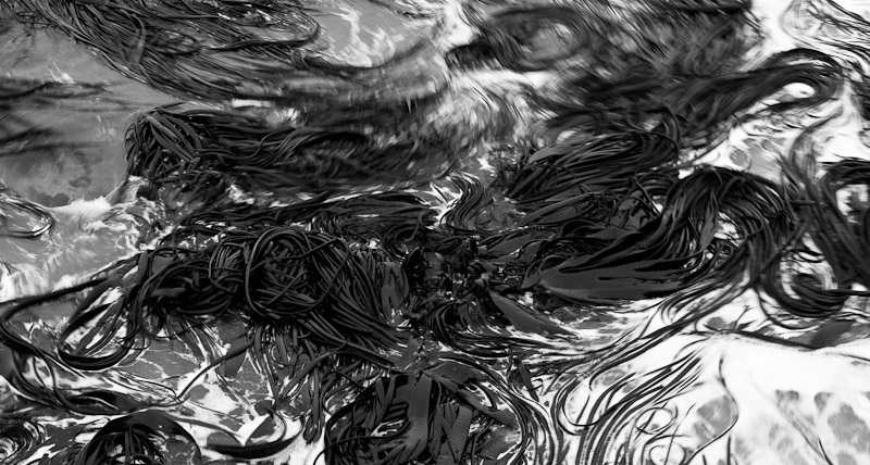 Seaweed Surf, 2011