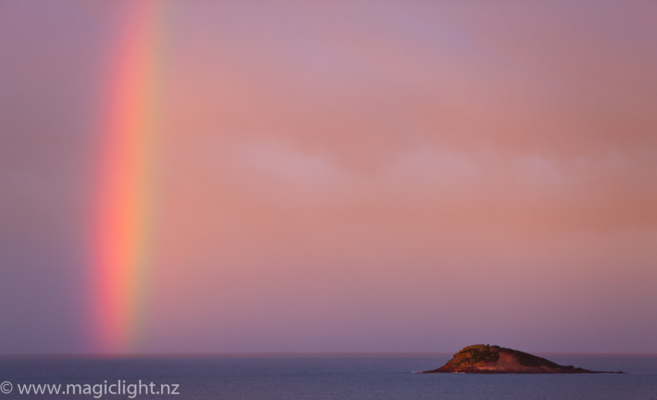 Green Island Rainbow, From The Back Door 2009