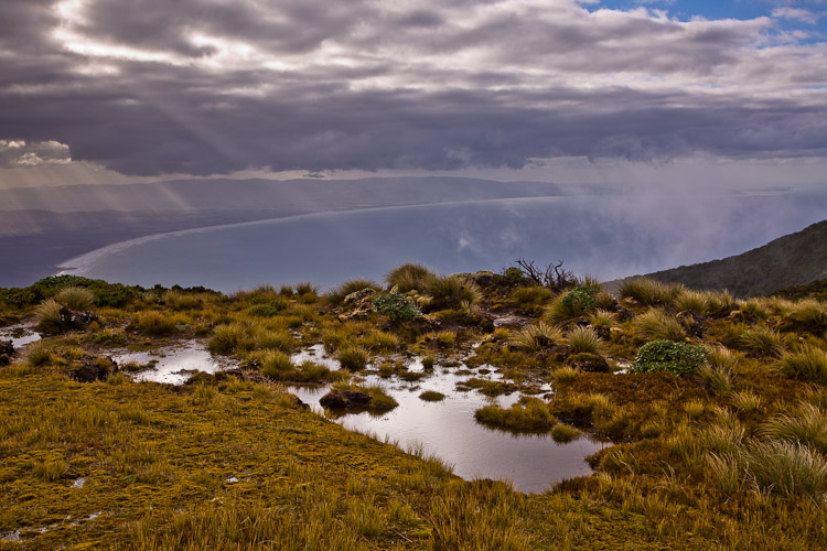 Crepuscular Rays, Hump Ridge 2008