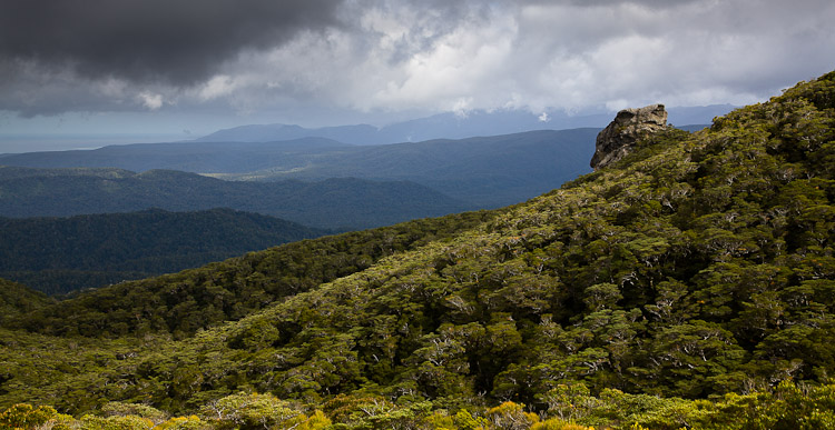 Layers, Hump Ridge 2008