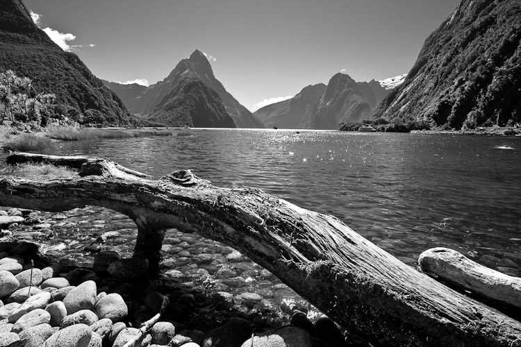 Milford 2010