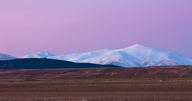 Mount Ida, 2009