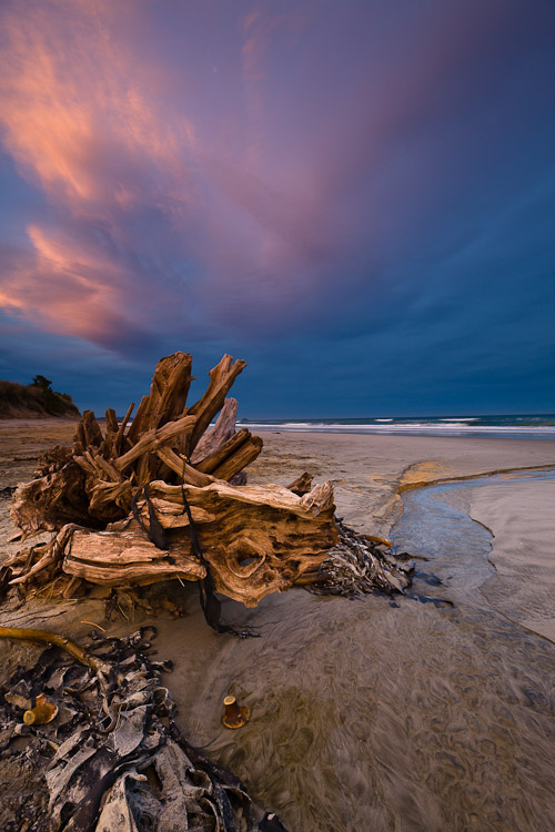 Driftwood, Brighton Dunedin 2008