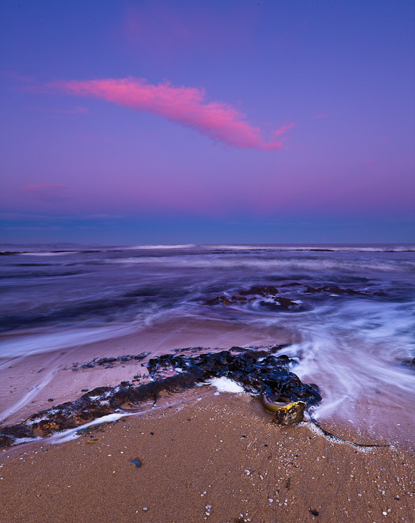 Sunset Seaweed 2, 2008