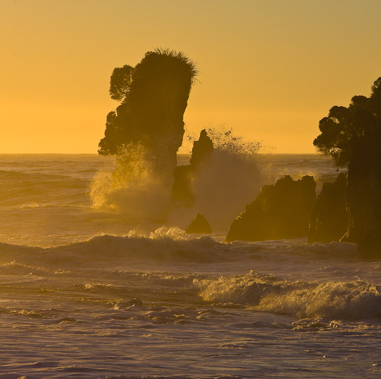 Mussel Point Rock, South Westland 2008