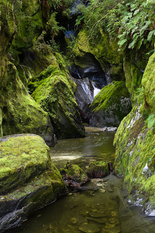 Mossy Rocks, Haast 2010