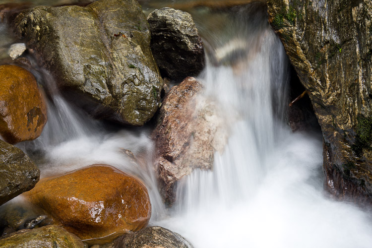 Stream, South Westland 2010