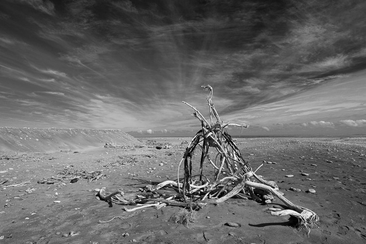 West Coast Beach, 2010