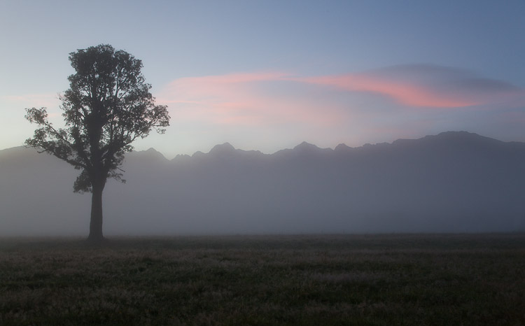 Morning Mist, Fox 2010