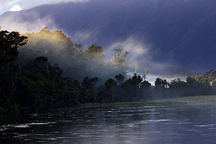 Misty Morning, South Westland 2006